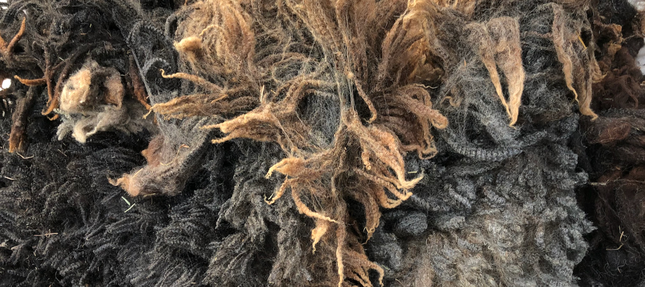 close-up of wool